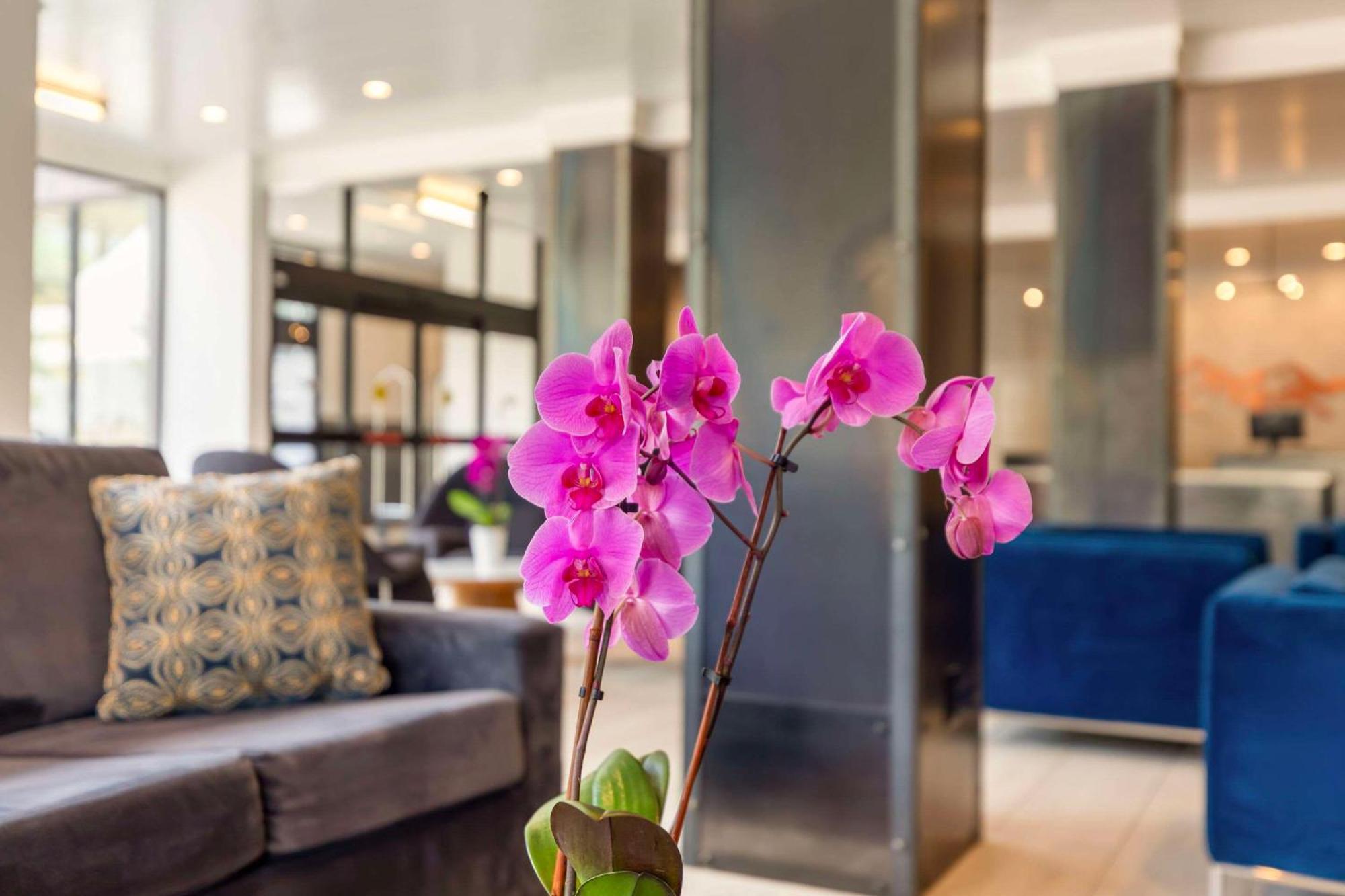 Cambria Hotel Copper Mountain Фріско Екстер'єр фото