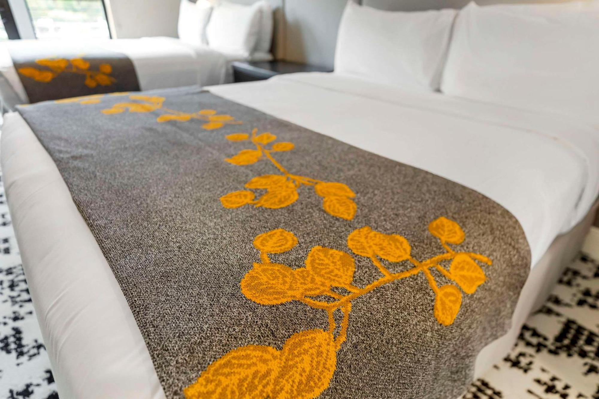 Cambria Hotel Copper Mountain Фріско Екстер'єр фото